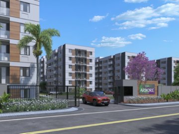 Vitale rbore - Fase 1